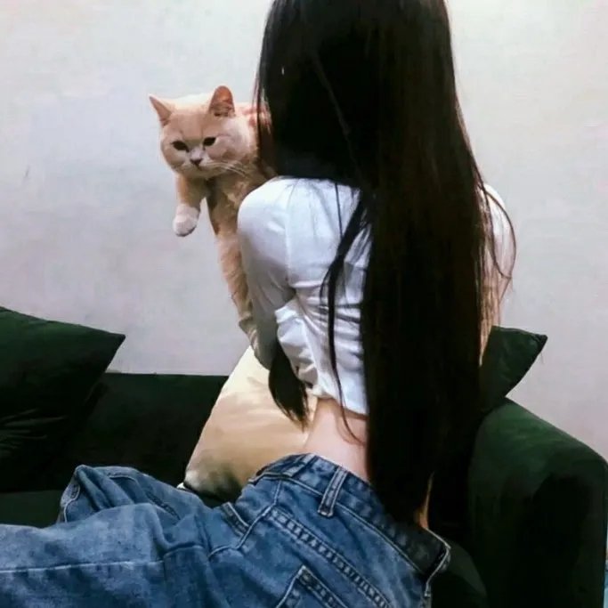王牌售车员